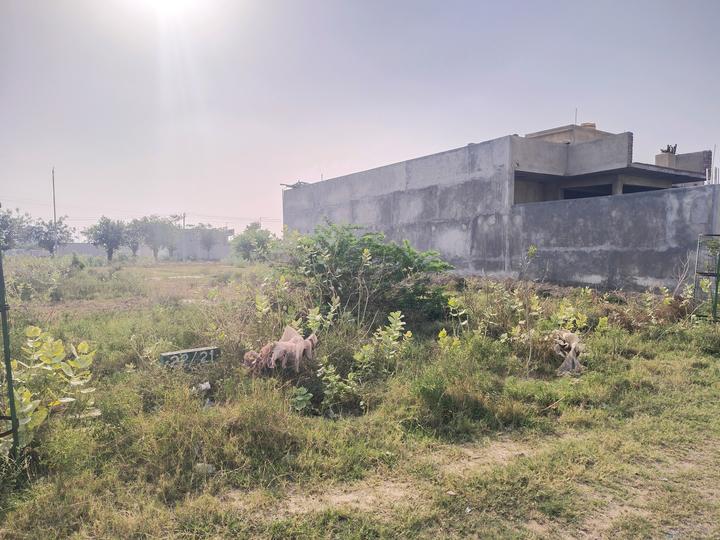 Sector 22D Greater Noida Main Image 1