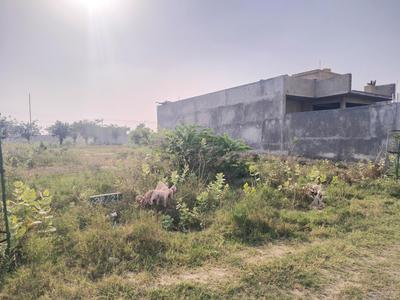 Sector 22D Greater Noida Plot View 1