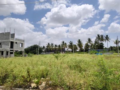 Residential Plot