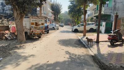 Block D Plot View 3