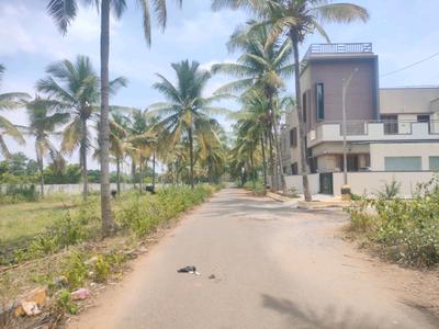 JR Coconest Prime Internal Roads 1