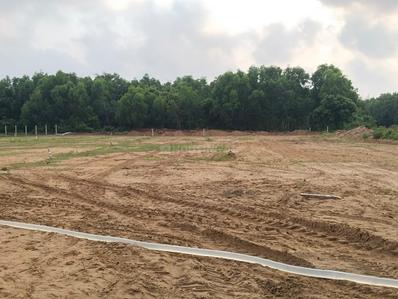 Image of 1500 Sq.ft Residential Plot / Land for sale in Balikuda Sahi, Puri for Rs. 3750000