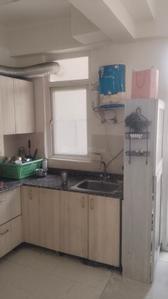 Kitchen Image of 900 Sq.ft 2 BHK Apartment / Flat for rent in Amrapali Zodiac, Sector 120 Noida for Rs. 32000