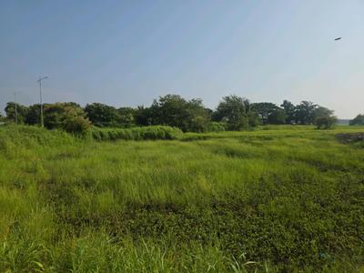 Image of 1089 Sq.ft Residential Plot / Land for sale in Vasai West, Vasai for Rs. 4689000