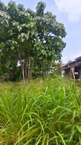 Image of 2175 Sq.ft Residential Plot / Land for sale in Kuzhivelippady, Kochi for Rs. 4375000