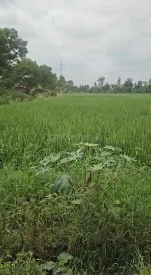 Teacher Colony, Sikandrabad Main Image 1