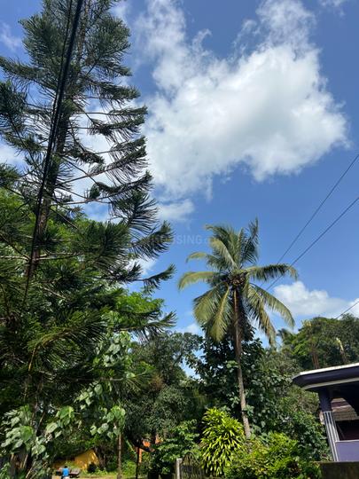 Salcete Main Image 1