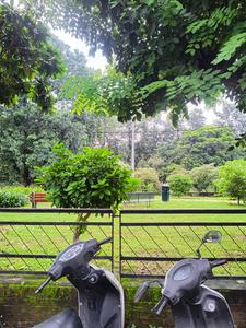 Balcony Image of Park facing property available for PG in Sector 23, Chandigarh
