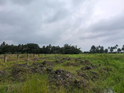Bhasa Eco Village Plot View 2
