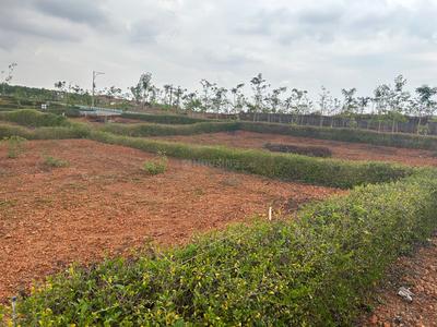 Residential Plot