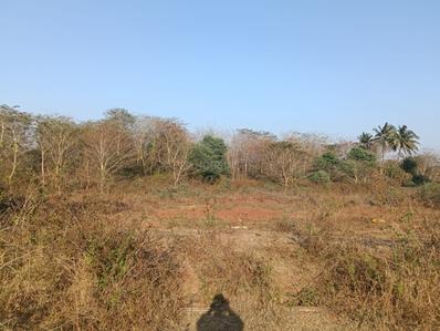 Image of 2050 Sq.ft Residential Plot / Land for sale in Kusugal, Hubli for Rs. 1700000
