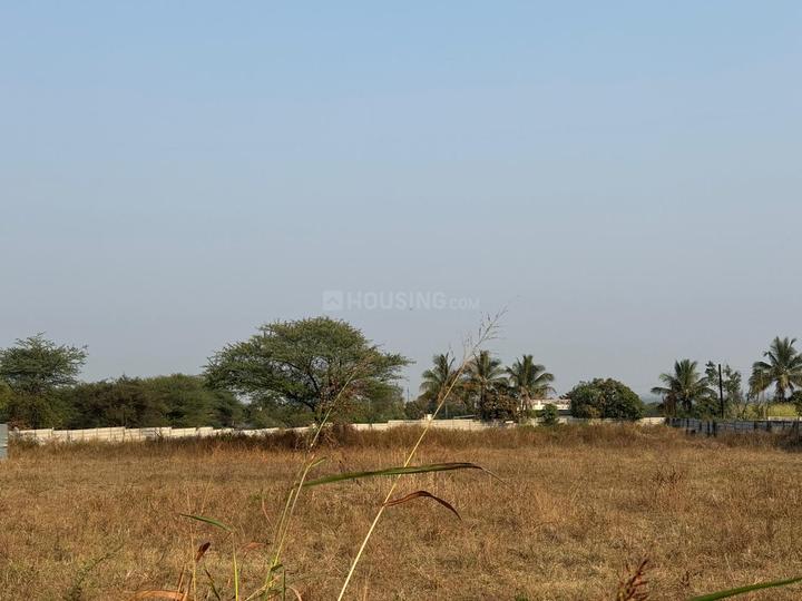 Pathardi Gaon, Pathardi Phata Main Image 1