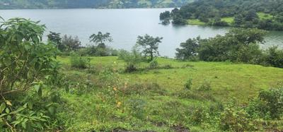 Image of 520000 Sq.ft Residential Plot / Land for sale in Varasgaon, Pune for Rs. 123500000