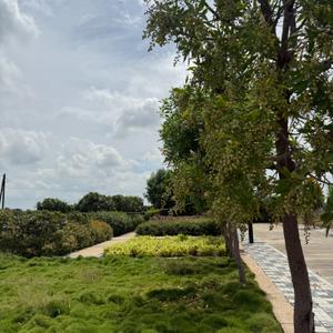 Image of 800 Sq.ft Residential Plot / Land for sale in Ramesht Shri Ayodhya Puram, Panchderiya, Indore for Rs. 2280800