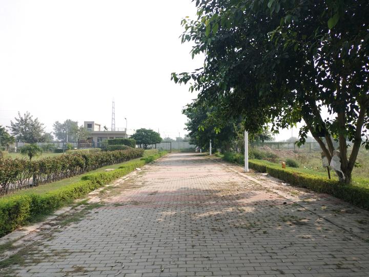 Sector 77 Main Image 1