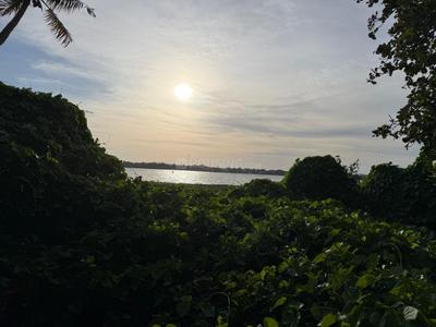 Keralarealty Plot View 3