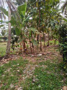 Image of 13939 Sq.ft Residential Plot / Land for sale in Koorkenchery, Thrissur for Rs. 6400000