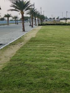 Shree Krishna Corridor Plot View 2