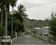 Triveni Gardens Plot View 2
