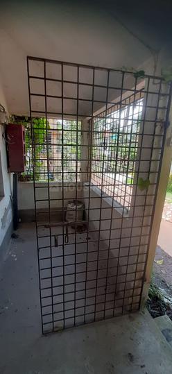 Kalagachia OA404 Main Image 1