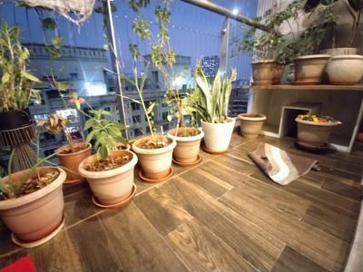 Balcony Image of 2257 Sq.ft 4 BHK Apartment / Flat for sale in Courtyard Onyx, Thane West Thane for Rs. 35500000