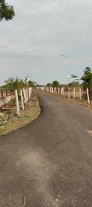 Tulani Square Buddha Vihar Plot View 3