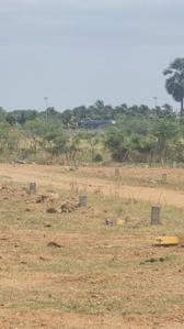 Image of 1864 Sq.ft Residential Plot / Land for sale in Madakudi, Tiruchirappalli for Rs. 1864000