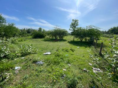 Residential Plot