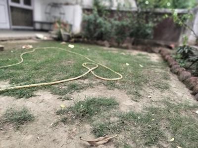Image of 4500 Sq.ft 4 BHK Builder Floor for rent in Hauz Khas, New Delhi for Rs. 275000