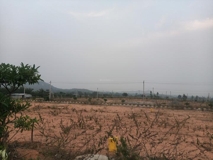 Maisigandi Main Image 1