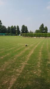 Image of 9072 Sq.ft Residential Plot / Land for sale in Dkrrish Green Beauty Farms, Sector 135, Noida for Rs. 8000000