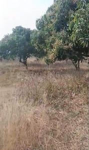 Image of 27012 Sq.ft Residential Plot / Land for sale in Srinivaspur Rural, Kolar for Rs. 130000000
