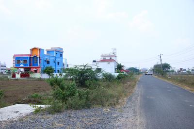 Plot View