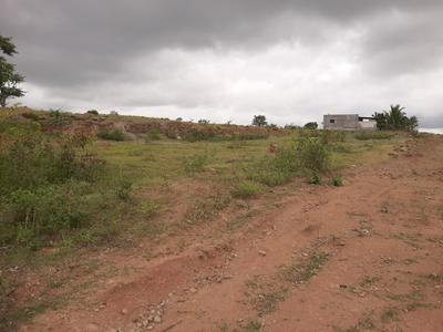 Uruli Devachi Plot View 2