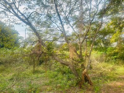 Image of 1200 Sq.ft Residential Plot / Land for sale in Vajarahalli, Bengaluru for Rs. 18000000