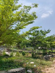 Image of 1742 Sq.ft Residential Plot / Land for sale in Kizhakkambalam, Kochi for Rs. 2000000