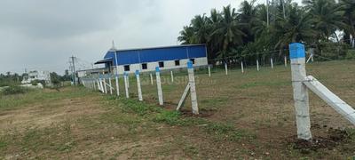 Arasur, Pollachi Plot View 3