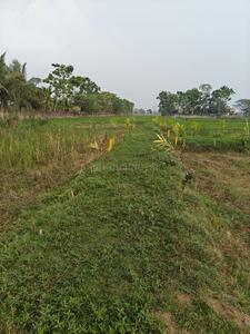 Sonarpur Plot View 3