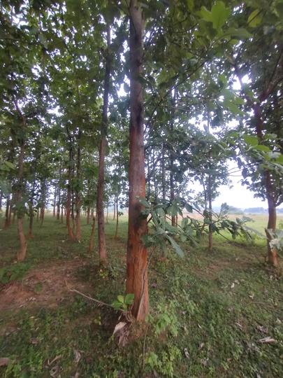 Hundru Main Image 1