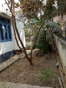 Balcony Image of 4000 Sq.ft 9 BHK Duplex for sale in Beur Patna for Rs. 50000000