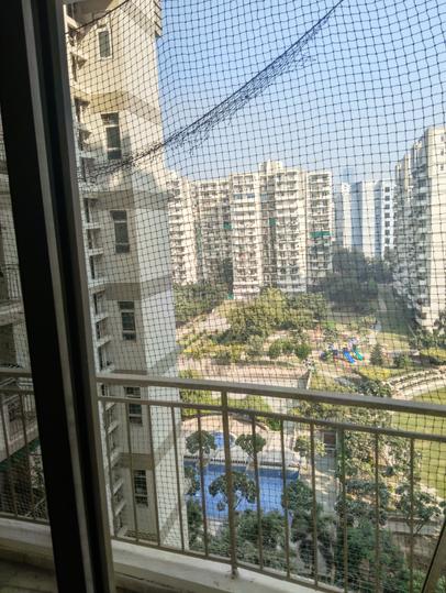 Orchid Petals Main Image 1