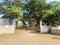 Pimpalgaon Baswant Main Image 1