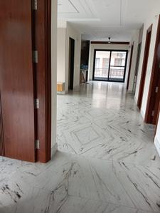 Hall Image of 2250 Sq.ft 3 BHK Builder Floor for rent in Housefed Flats, Sector 79 Mohali for Rs. 50000
