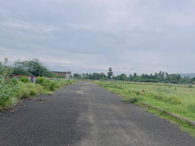 Layout Plot View 2