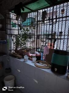 Bathroom Image of 851 Sq.ft 2 BHK Apartment / Flat for sale in Haripura Vadodara for Rs. 2200000