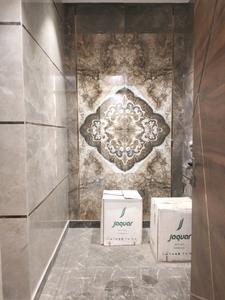 Common Bathroom Image of 1100 Sq.ft 3 BHK Apartment / Flat for sale in Shalimar Bagh New Delhi for Rs. 16000000