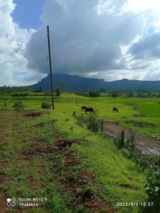 Image of 10764 Sq.ft Residential Plot / Land for sale in Trimbak, Nashik for Rs. 4000000