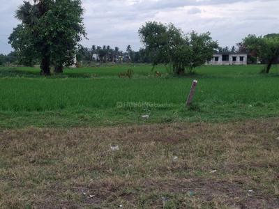 T.V Puram Plot View 1