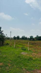 Image of 5000 Sq.ft Residential Plot / Land for sale in Kapasda, Durg for Rs. 2875000