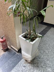 Image of 2140 Sq.ft 4 BHK Apartment / Flat for sale in Phase 2, Noida for Rs. 28000000